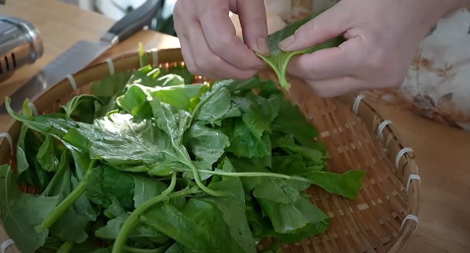 유튜브 '[윤이련]50년 요리비결'