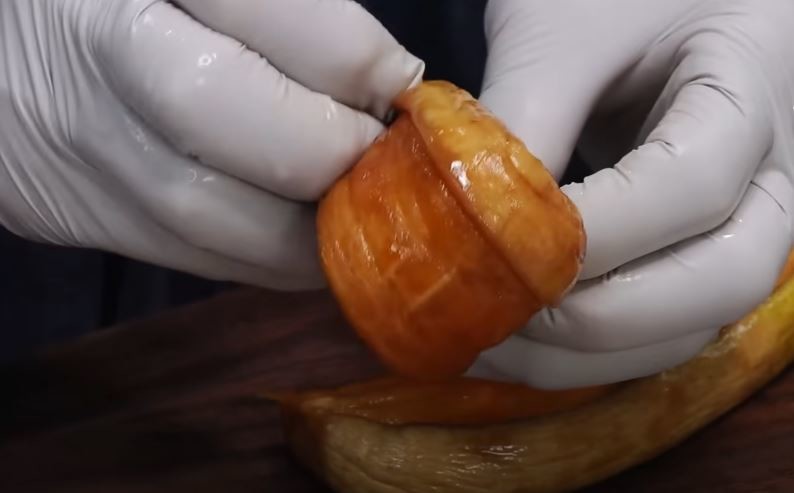 유튜브 '팔숙이 palsook'