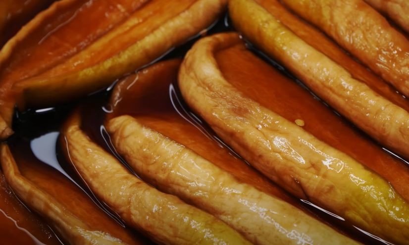 유튜브 '팔숙이 palsook'