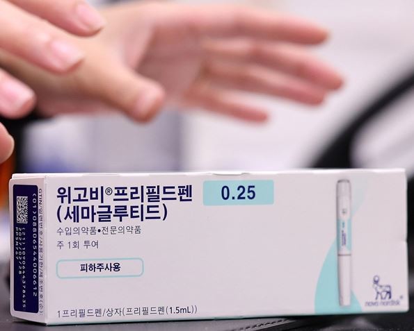 위고비 / 뉴스1