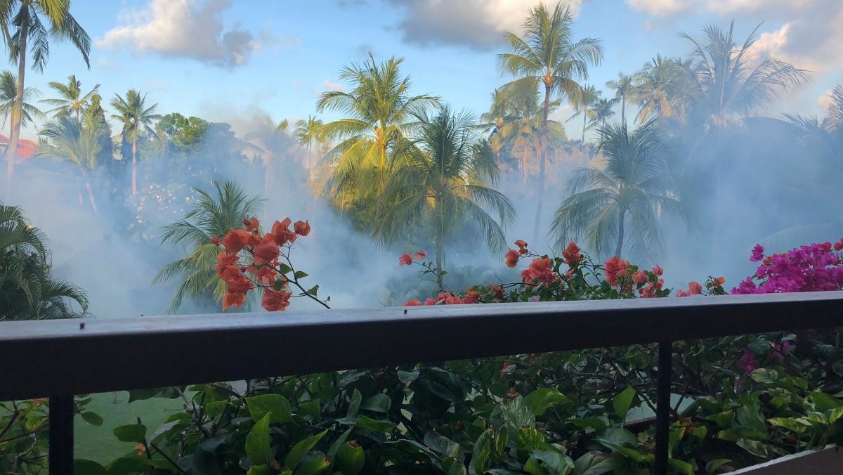 인도네시아 발리. / Yulliyan-shutterstock.com