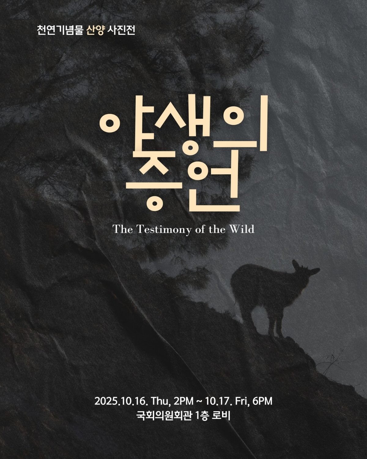 야생의 증언 사진전