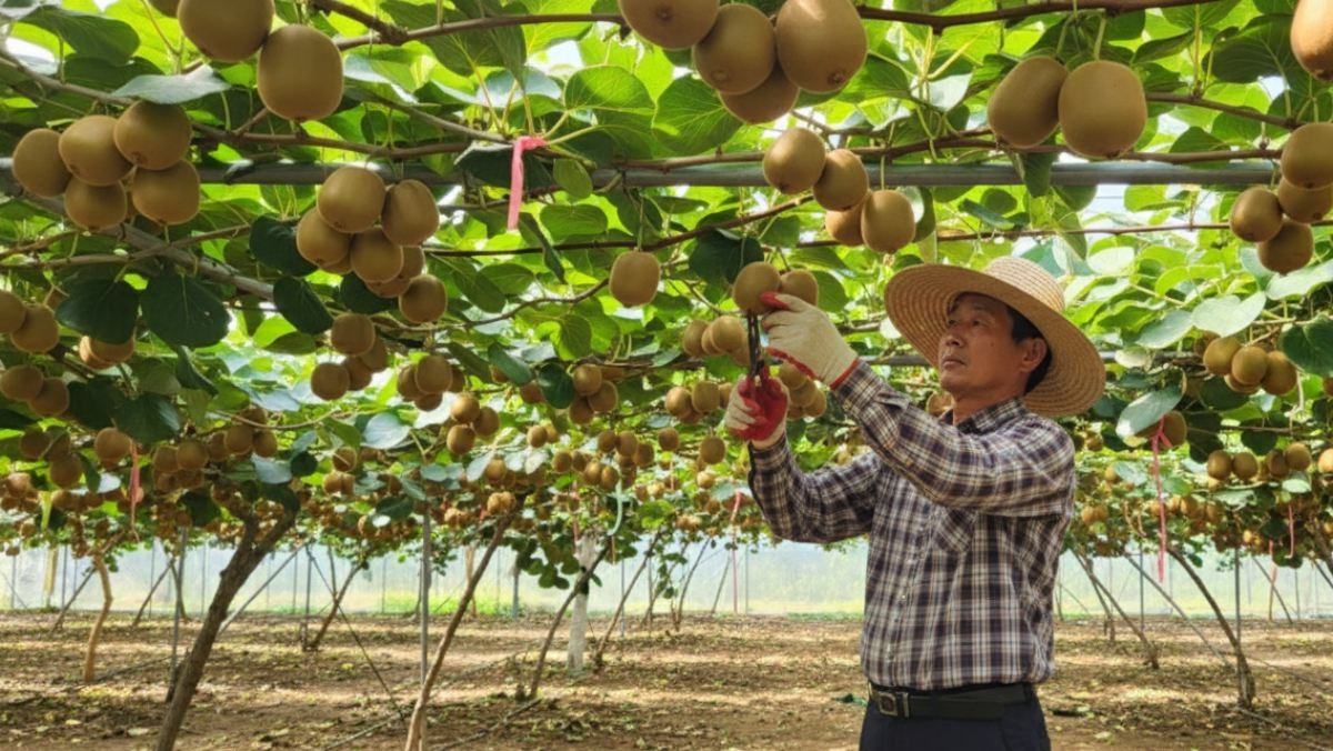 기사 이해를 돕기 위해 AI로 제작된 이미지