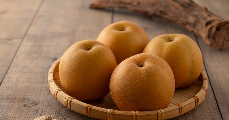 기사의 이해를 돕기 위한 사진 / Tsurukame Design-shutterstock.com