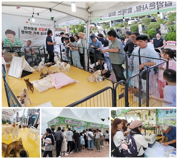 임실군