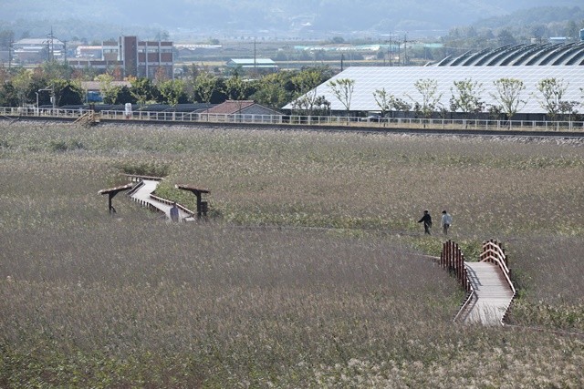 강진만생태공원