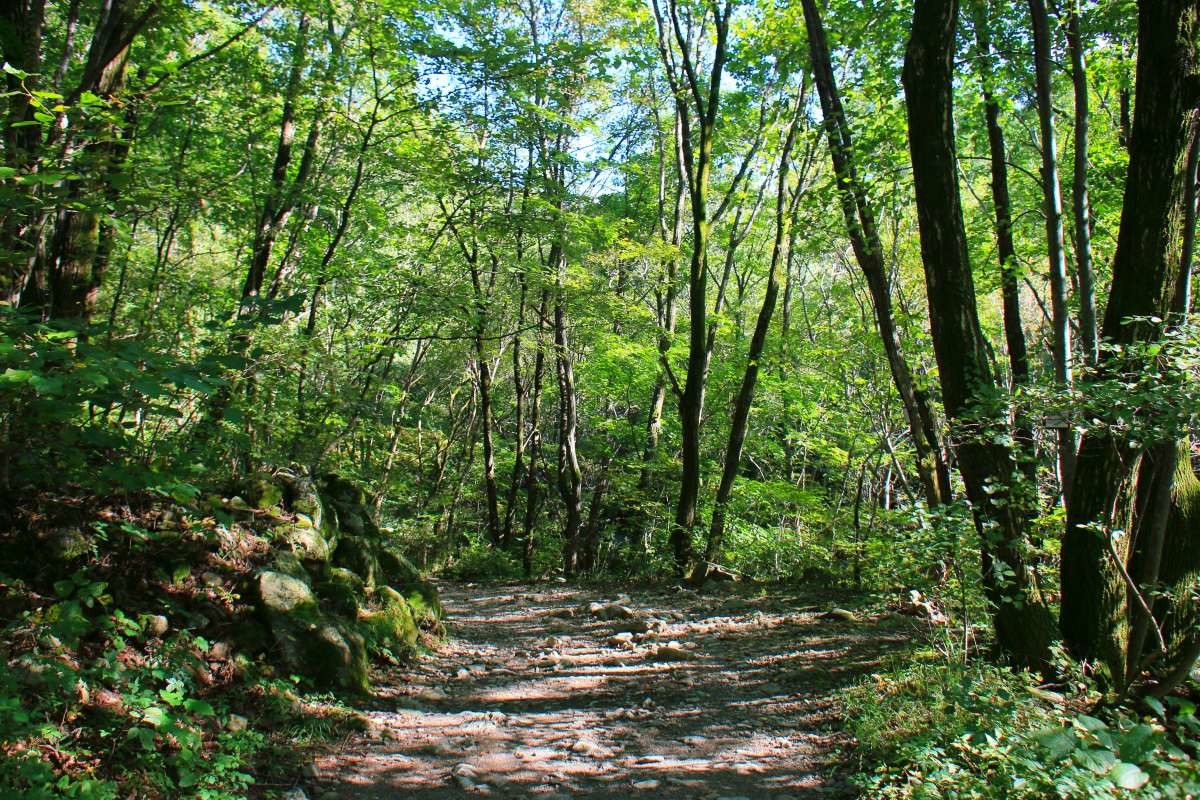 치악산. / Seok YeongGon-shutterstock.com