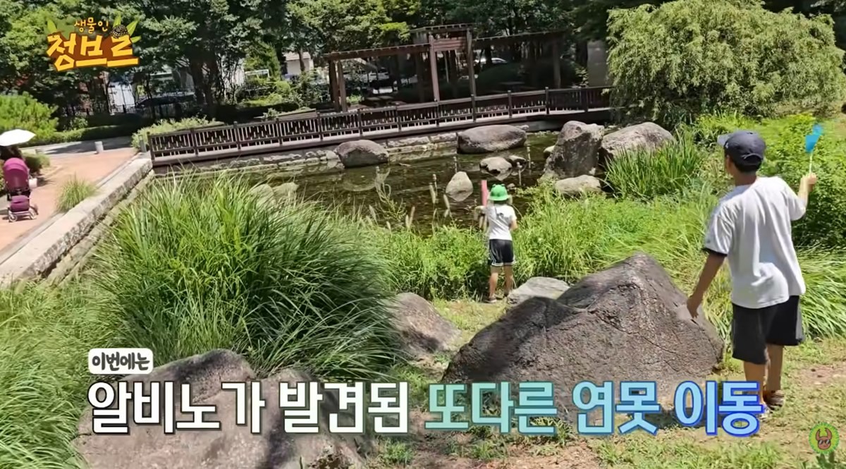 한국 아파트 연못에서 채집활동에 나선 모습 / 유튜브 '정브르'