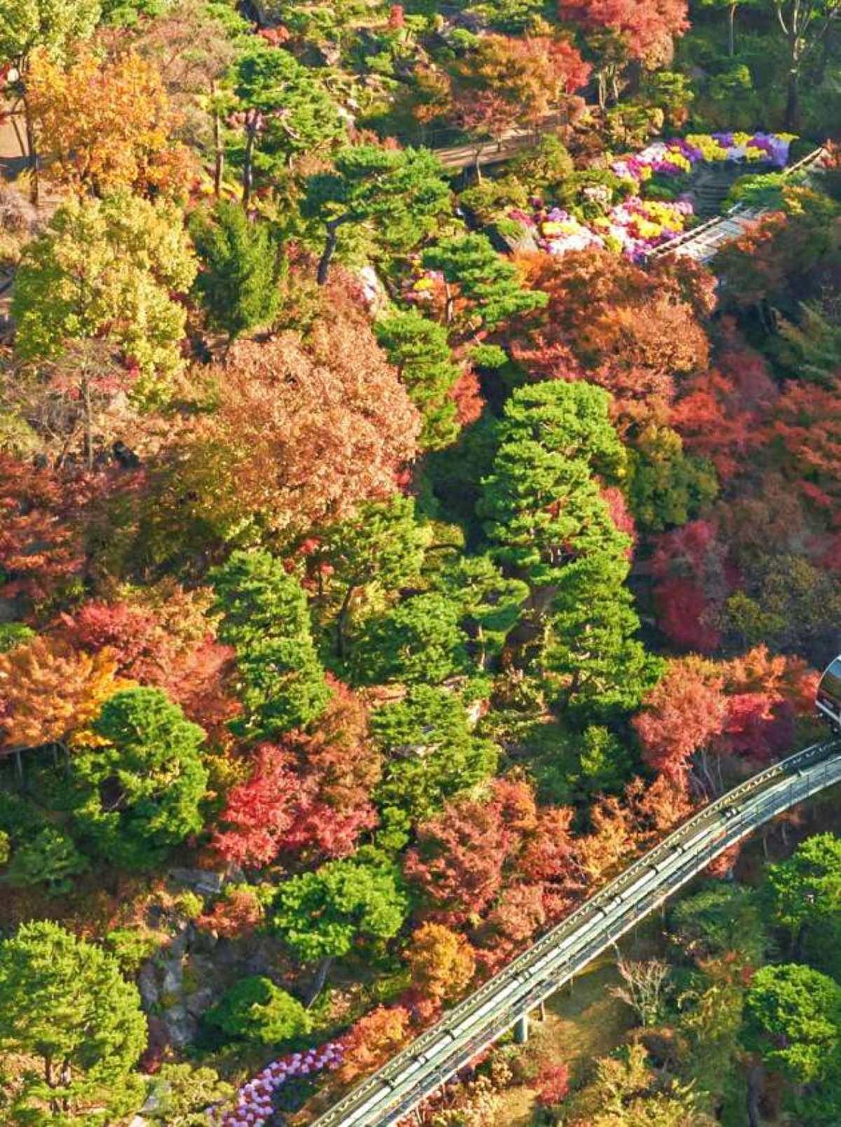 화담숲 절경. / 화담숲 제공