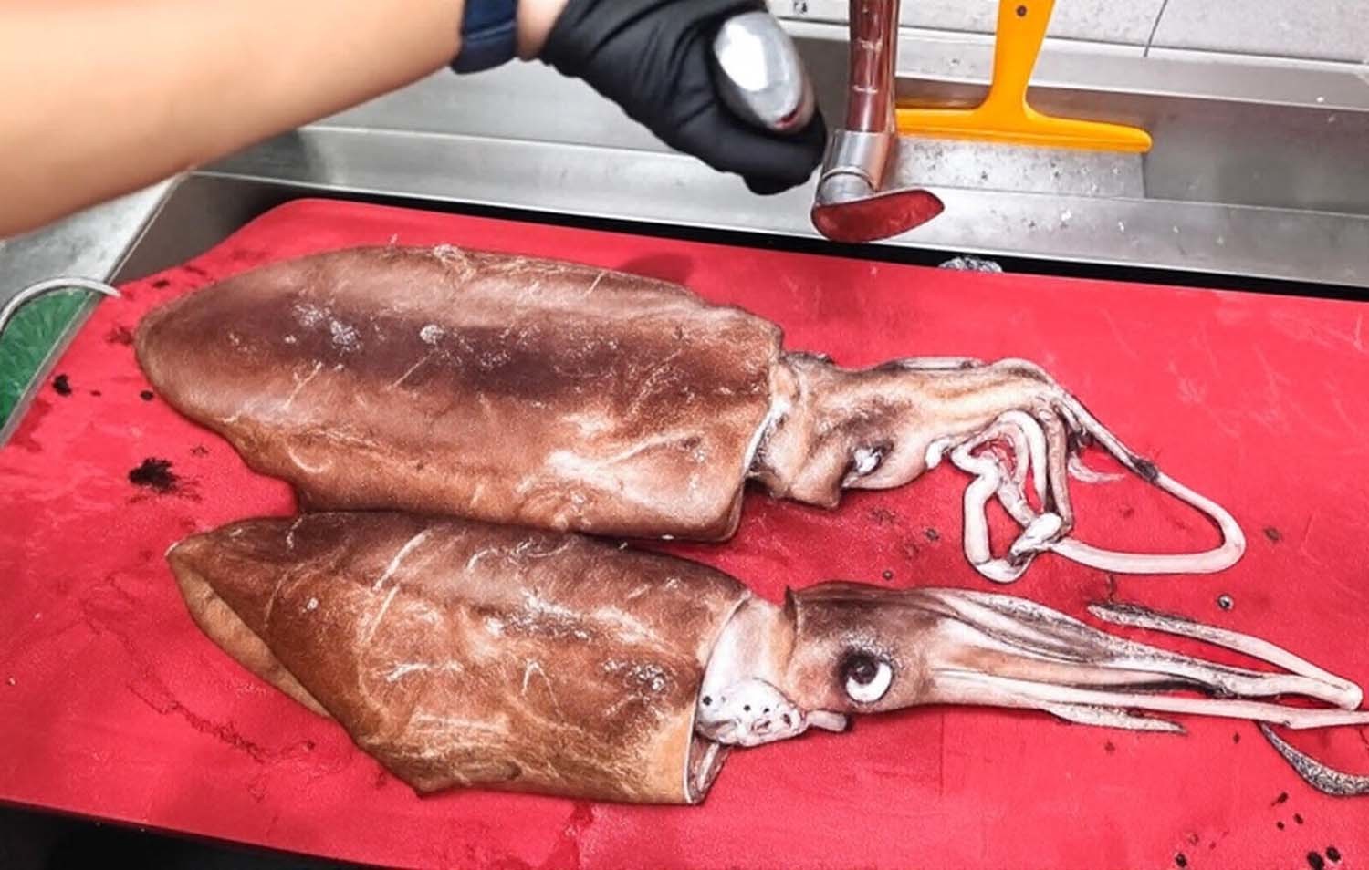 날개오징어  / '일타쿠마' 유튜브