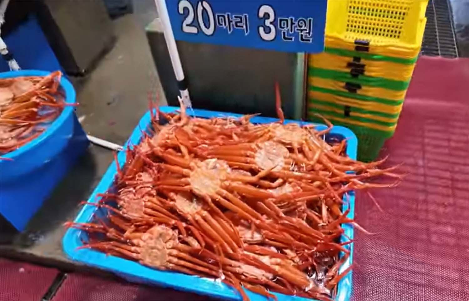 20마리에 3만 원짜리 홍게. / '방랑자채널' 유튜브