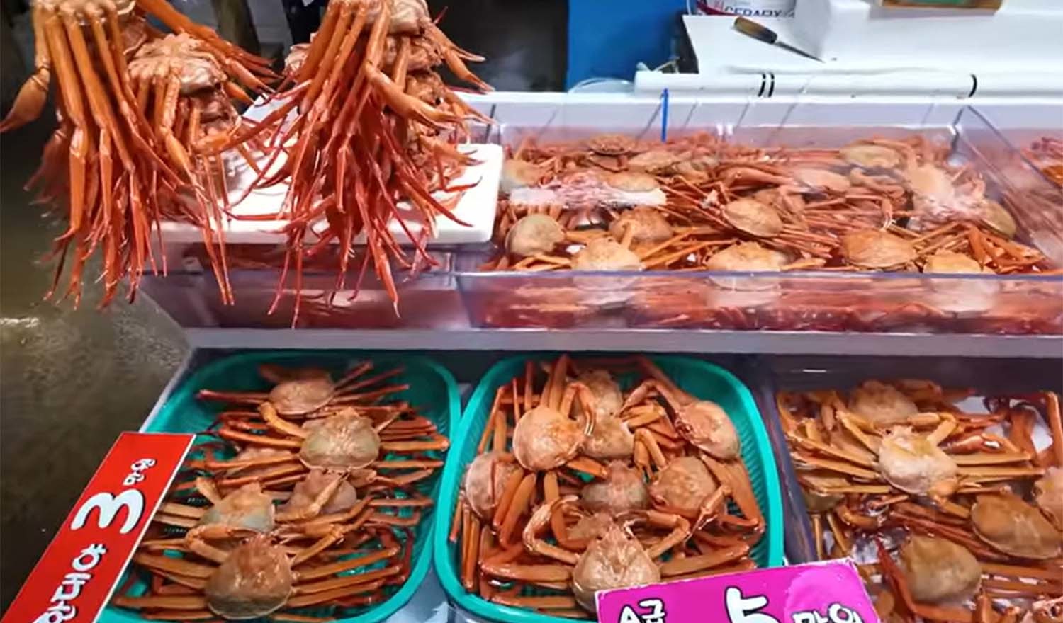 주문진 어민 어시장의 홍게. / '방랑자채널' 유튜브