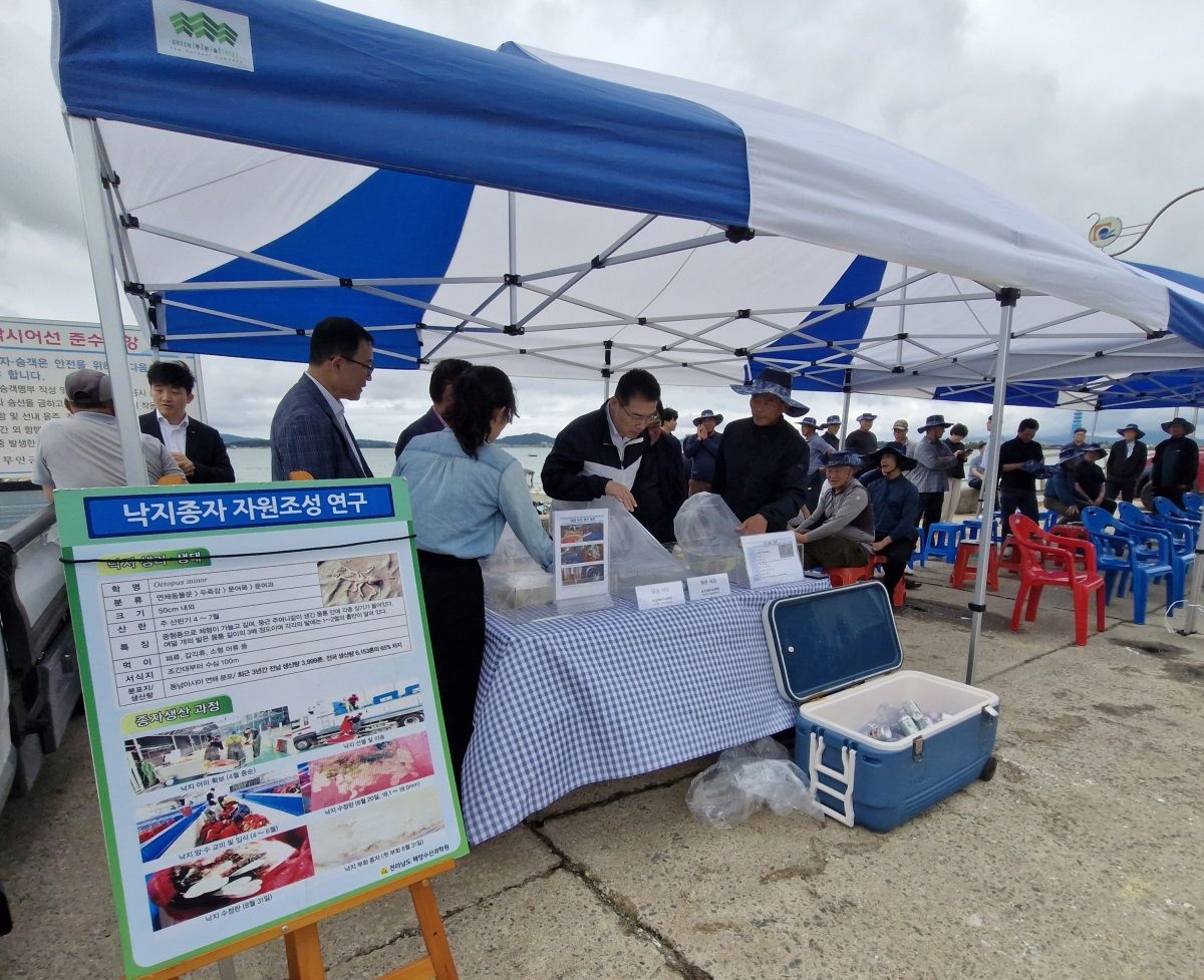 전남은 낙지의 주요 생산지이다. / 전남도 제공