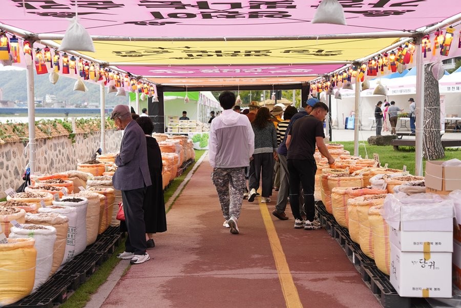 영천한약축제 전경. / 영천시 제공