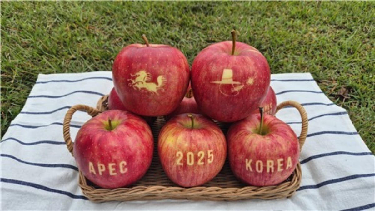 2025 APEC 정상회의 공식 협찬품인 '문자사과'. / 경북도 제공