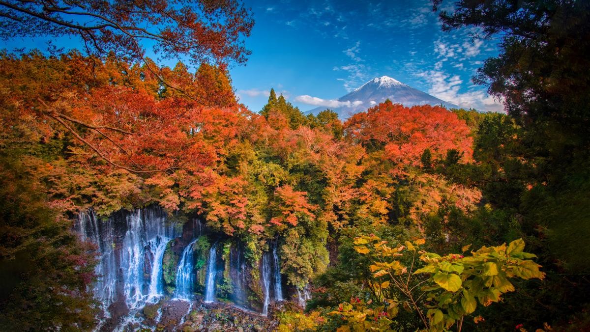 시라이토폭포. / Nuttawut Uttamaharad-shutterstock.com