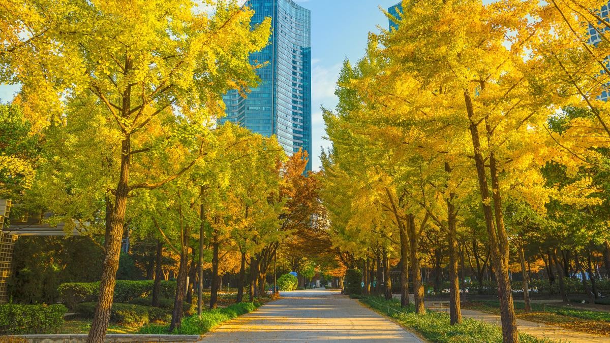 서울숲. / The Green foto-shutterstock.com