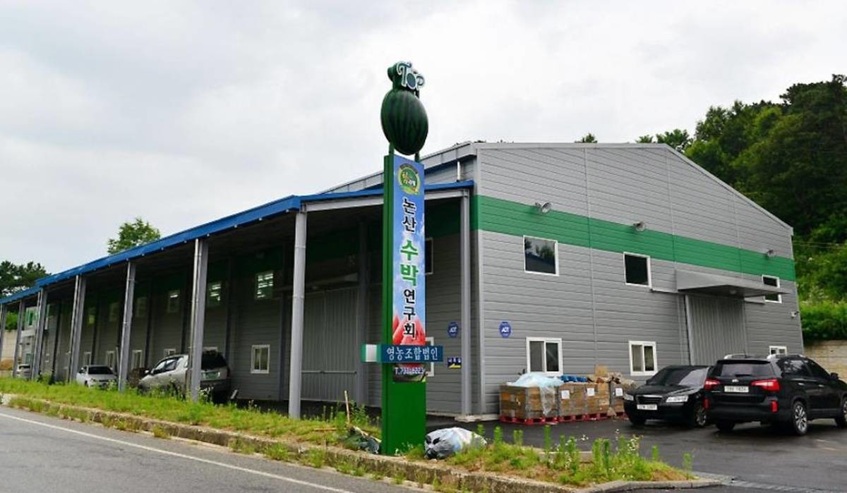논산수박연구회영농조합법인 / 농진청 제공, 연합뉴스