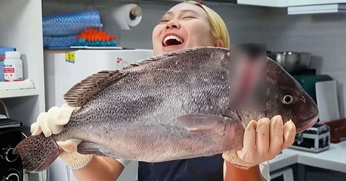 어름돔 / '수빙수tv' 유튜브