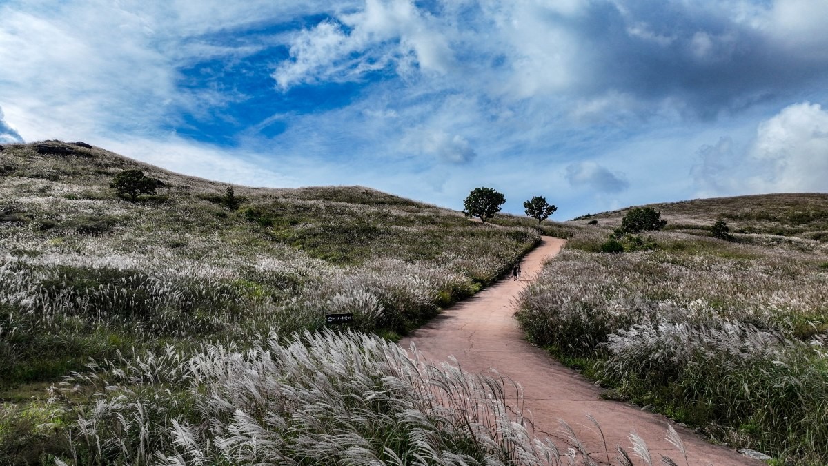 황매산 억새밭. / vario_yoon-shutterstock.com