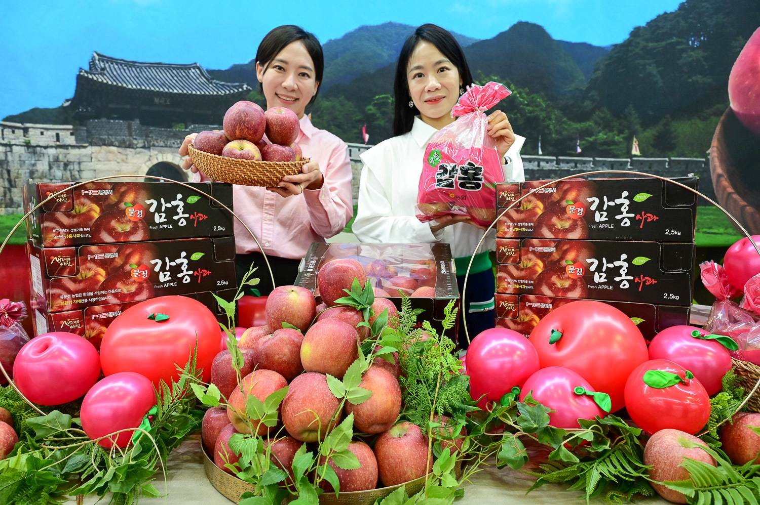 감홍 사과 자료사진. / 농협유통 제공-뉴스1