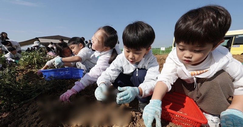 기사의 이해를 돕기 위한 사진 / 뉴스1