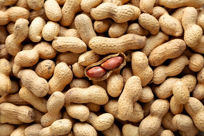 땅콩 / Liudmyla Chuhunova-shutterstock.com