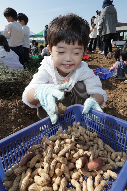 기사의 이해를 돕기 위한 사진 / 뉴스1