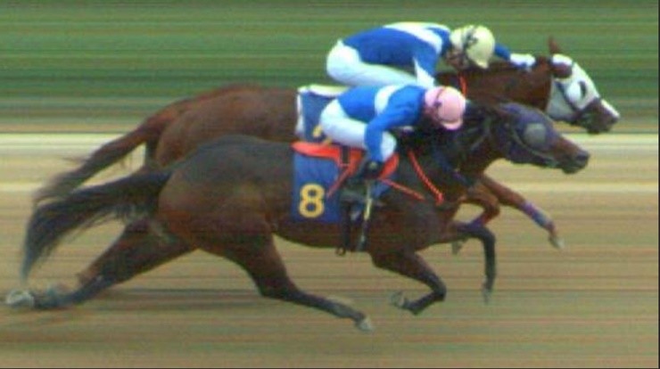 지난 19일 한국마사회 렛츠런파크 부산경남에서 열린 제7회 김해시장배(L,1200m) 대상경주에서 다나카 기수가 기승한 ‘슈퍼에어로(강봉한 마주, 라이스 조교사)’가 우승의 영예를 안았다.   / 사진제공=렛츠런파크 부산경남