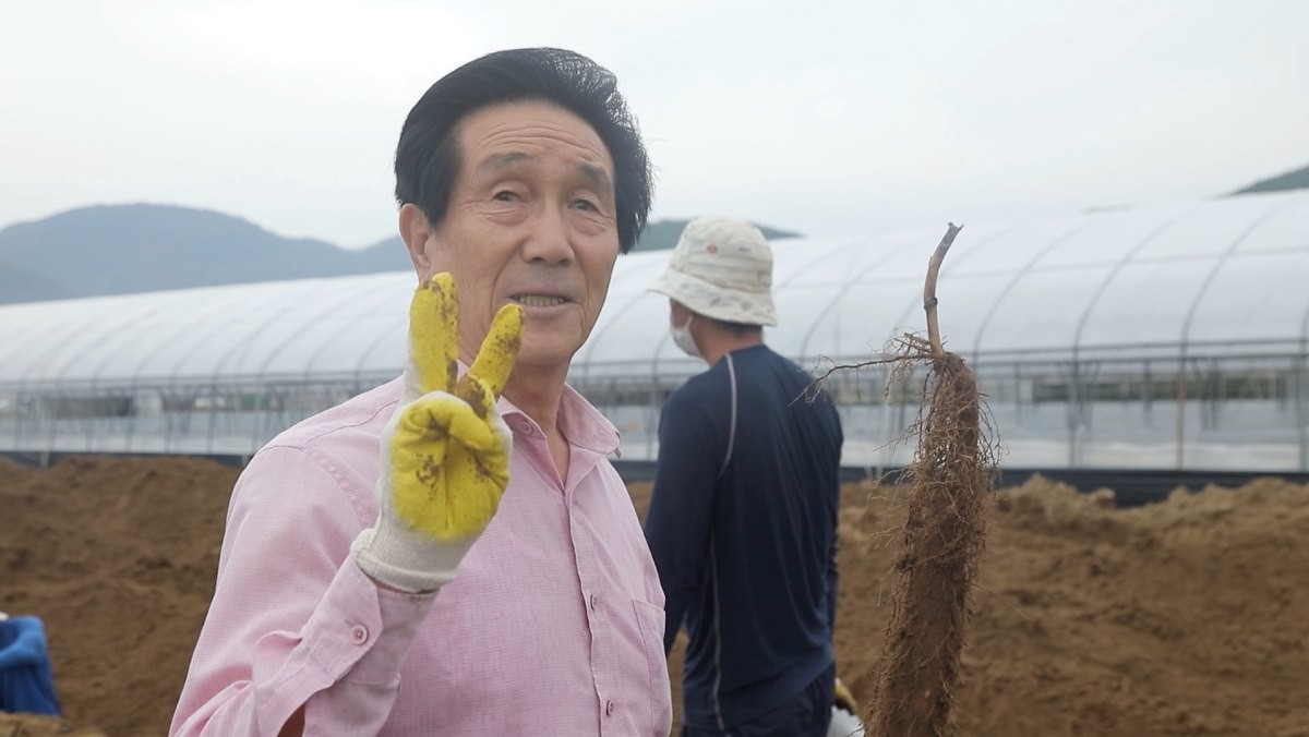 EBS1 '한국기행' 미리보기 페이지에서 제공하는 '마 마 진주 마' 편 자료 사진. / EBS1 제공