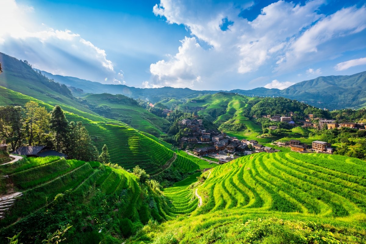 롱지 계단식 논. / ZCOOL HelloRF-shutterstock.com