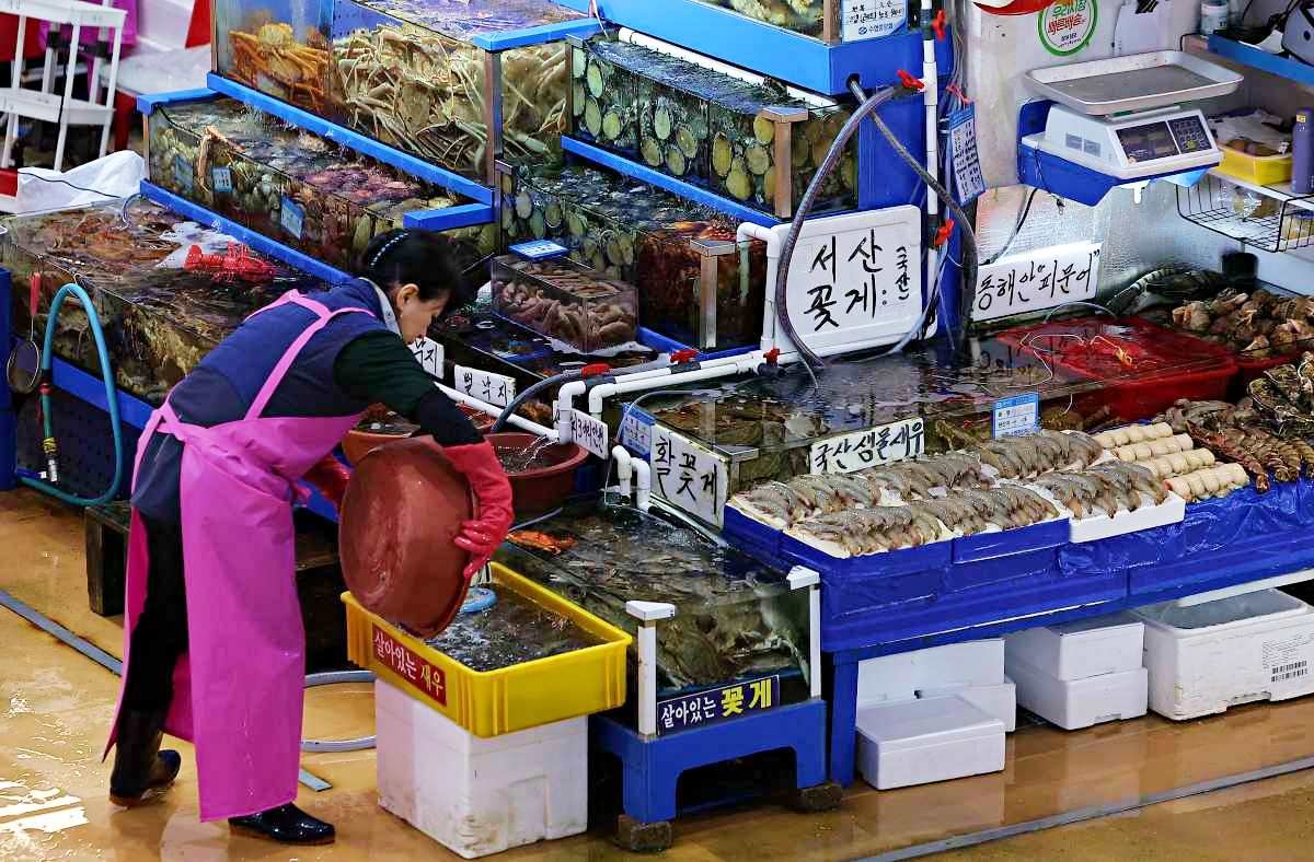 노량진수산시장 자료사진. / 뉴스1