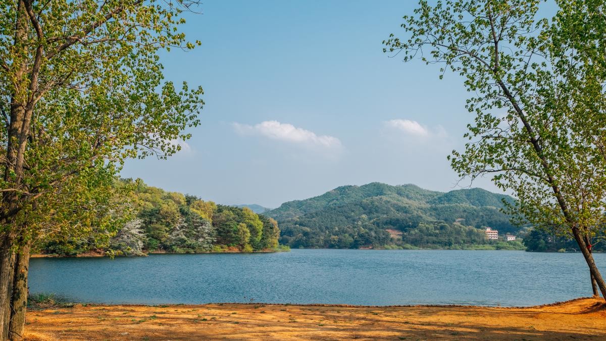 경기도 안성시 금광호수. / Sanga Park-shutterstock.com