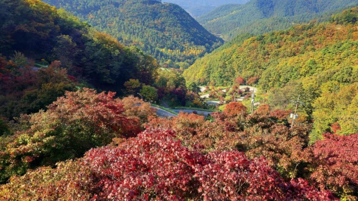 충북 보은군 속리산. / Steve Jangs-shutterstock.com