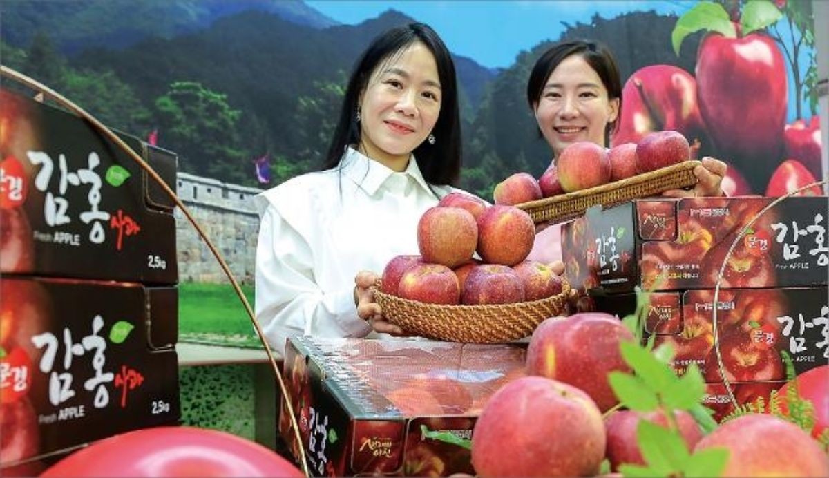 농협이 햇사과 할인행사를 연다 / 농협유통