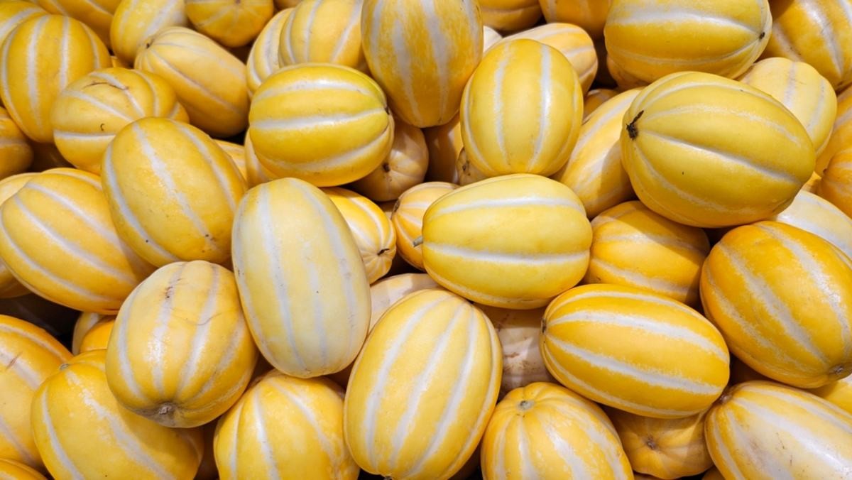 참외 자료사진 / whdmswjdqh7-shutterstock.com