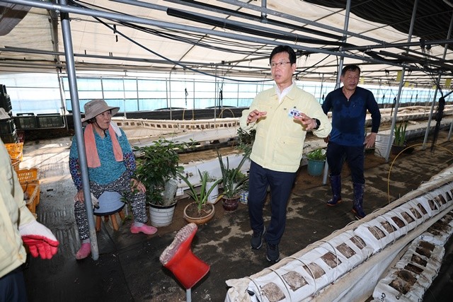 박병규 광산구청장(중앙)이 지난 7월 25일 평동의 한 침수 피해 비닐하우스 농가를 찾아 수습 상황을 점검했다.