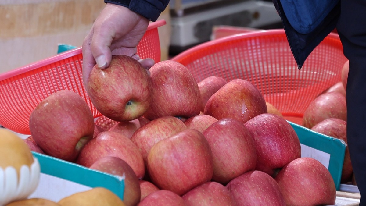 사과. 기사의 이해를 돕기 위한 사진 / 뉴스1