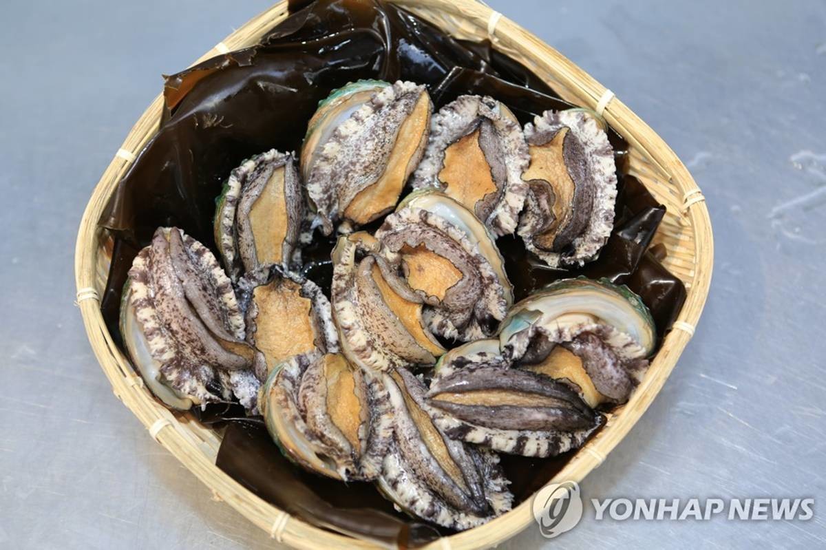 완도 전복 / 완도군 제공, 연합뉴스