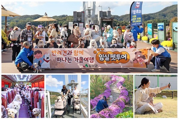 임실군