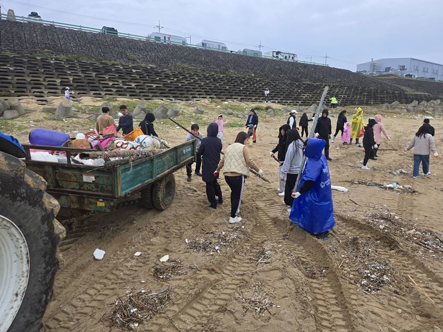 한국해양안전협회영일만지부, 포항시가족봉사단, 양지봉사단이 용안리해변 정화활동을 펼치고 있다 / 영일만지부 제공