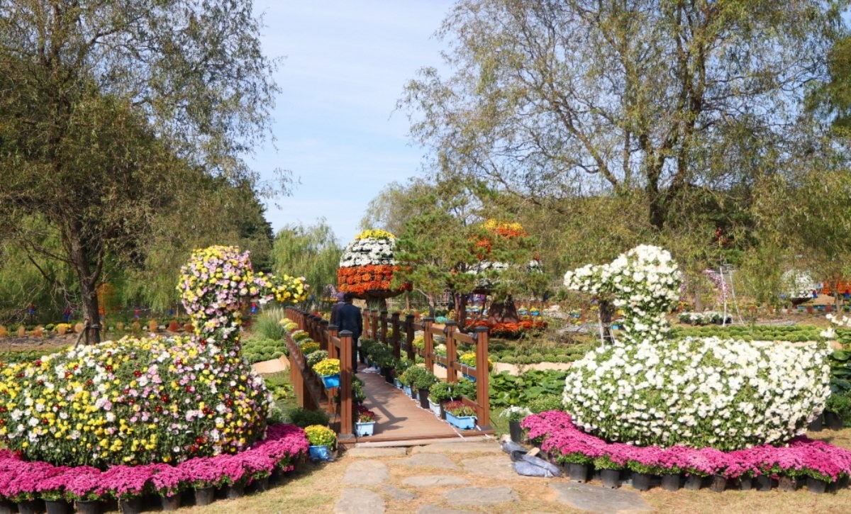 고즈넉한 옥파 이종일 선생 생가지와 어우러진 국화 조형물 / 태안군 제공