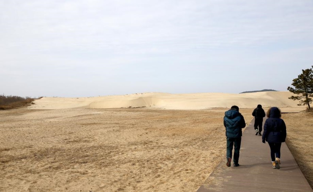 신두리 해안사구 / 태안관광 홈페이지 캡처