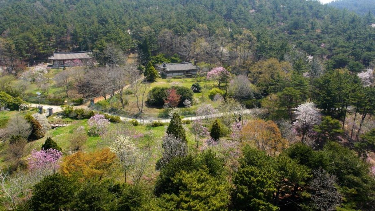 신두리 수목원 / 태안관광 홈페이지 캡처