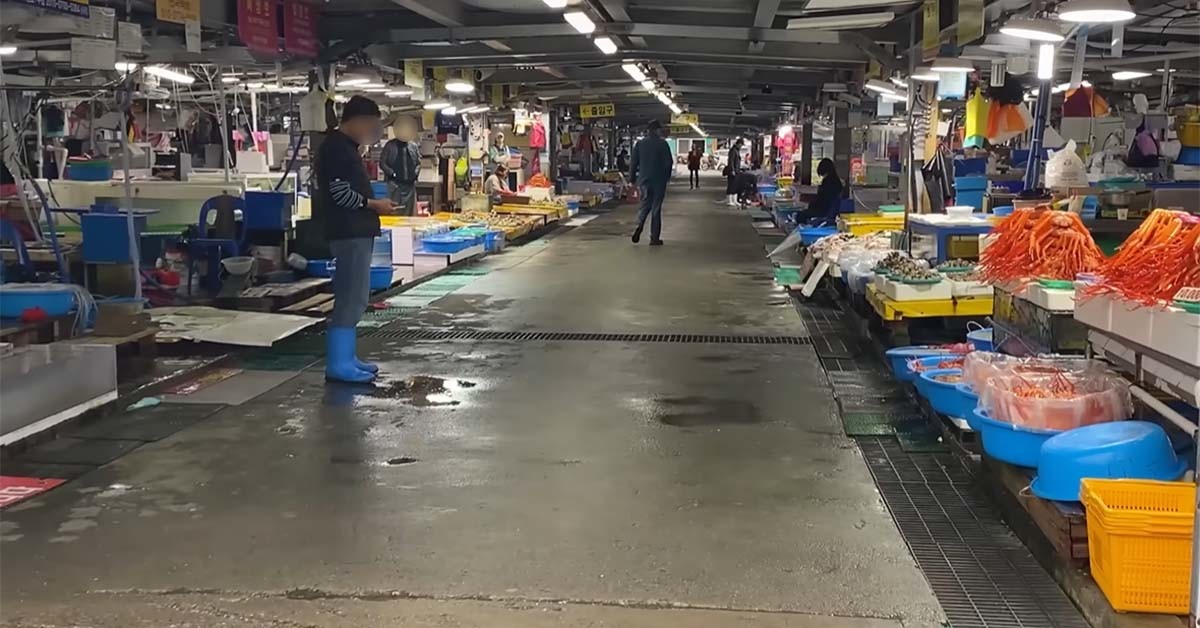 주문진 어민수산시장의 썰렁한 근황. / '푸드박스' 유튜브