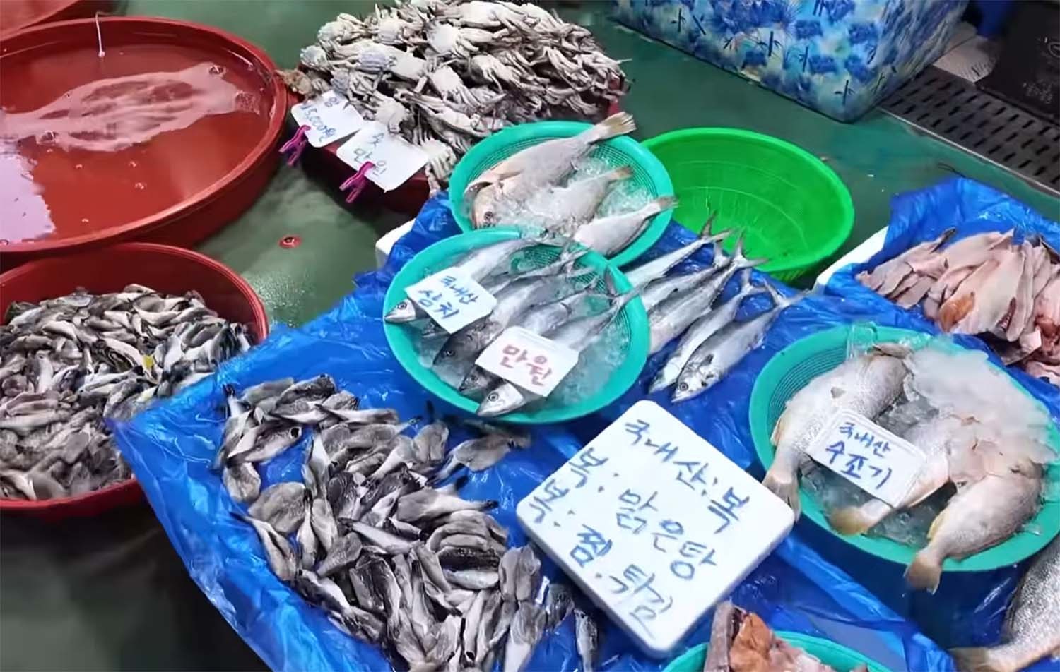 서울 근교 있는 대명항 수산시장엔 서울에선 쉽게 접할 수 없는 특색 있는 생선이 많은 곳이다. /     ‘생선선생 미스터S’ 유튜브