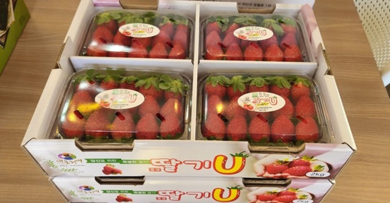 서울 가락동 농수산물도매시장에서 첫 출하가 시작된 2025년산 홍성딸기 / 홍성군 제공
