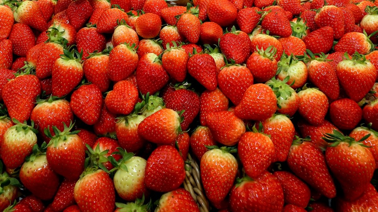 한국인이 가장 좋아하는 과일로 꼽힌 딸기 / 뉴스1