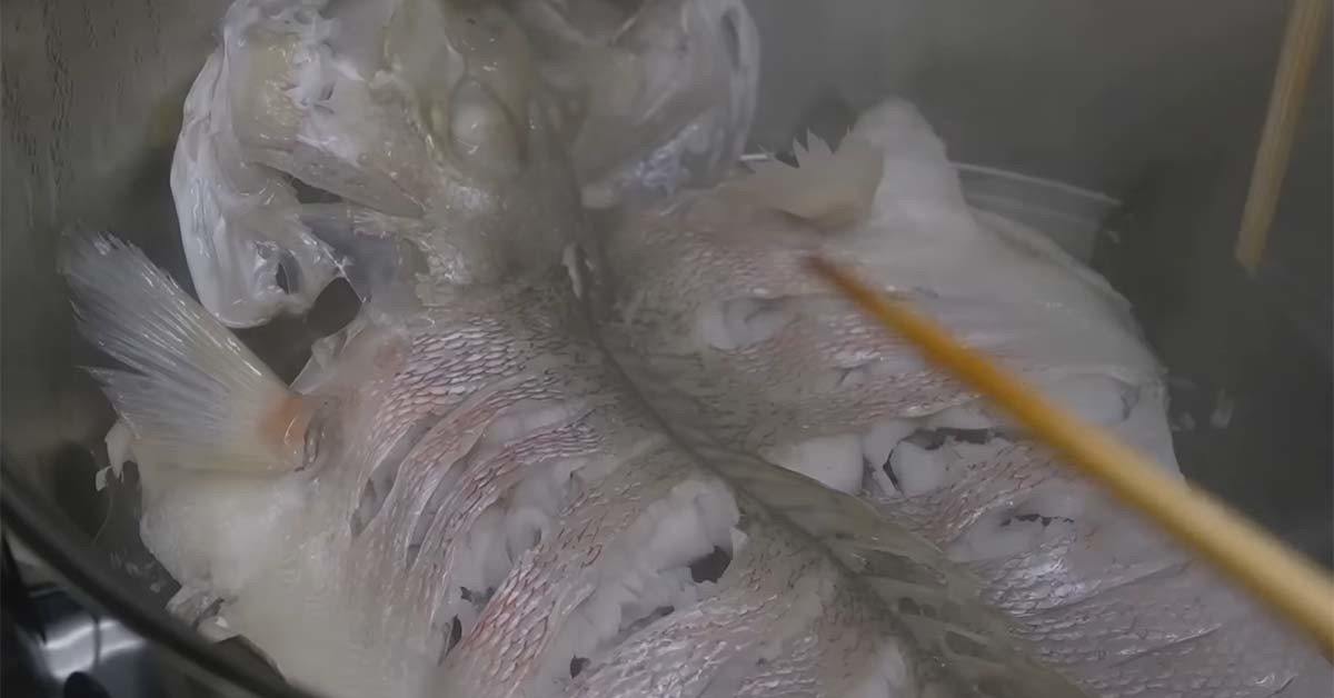 옥두어 찜 / '입질의추억TV' 유튜브