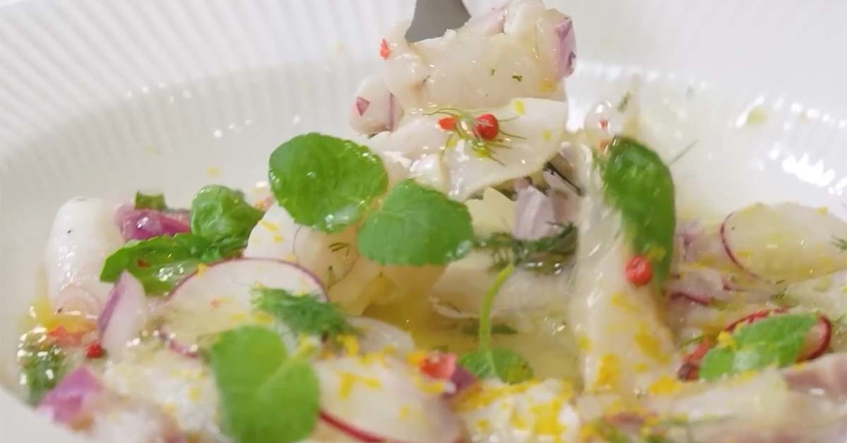 브란지노 카르파초 / '입질의추억TV' 유튜브